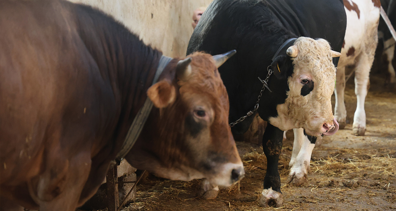 Minik eller yiğit yürekler için mektup yazdı, yiğitlerin cevabı gecikmedi