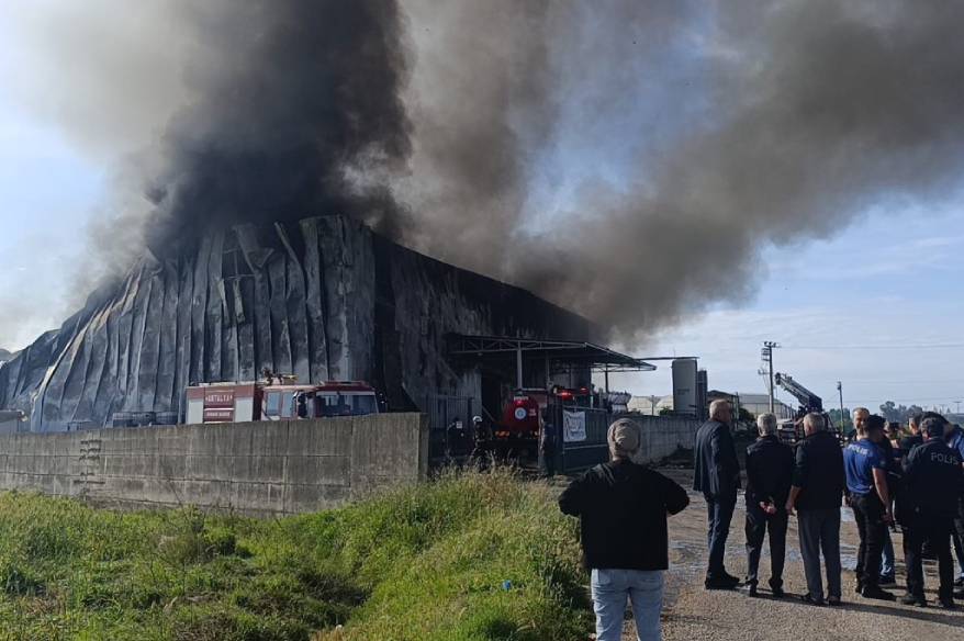 Antalya’da patates üretim tesisinde yangın