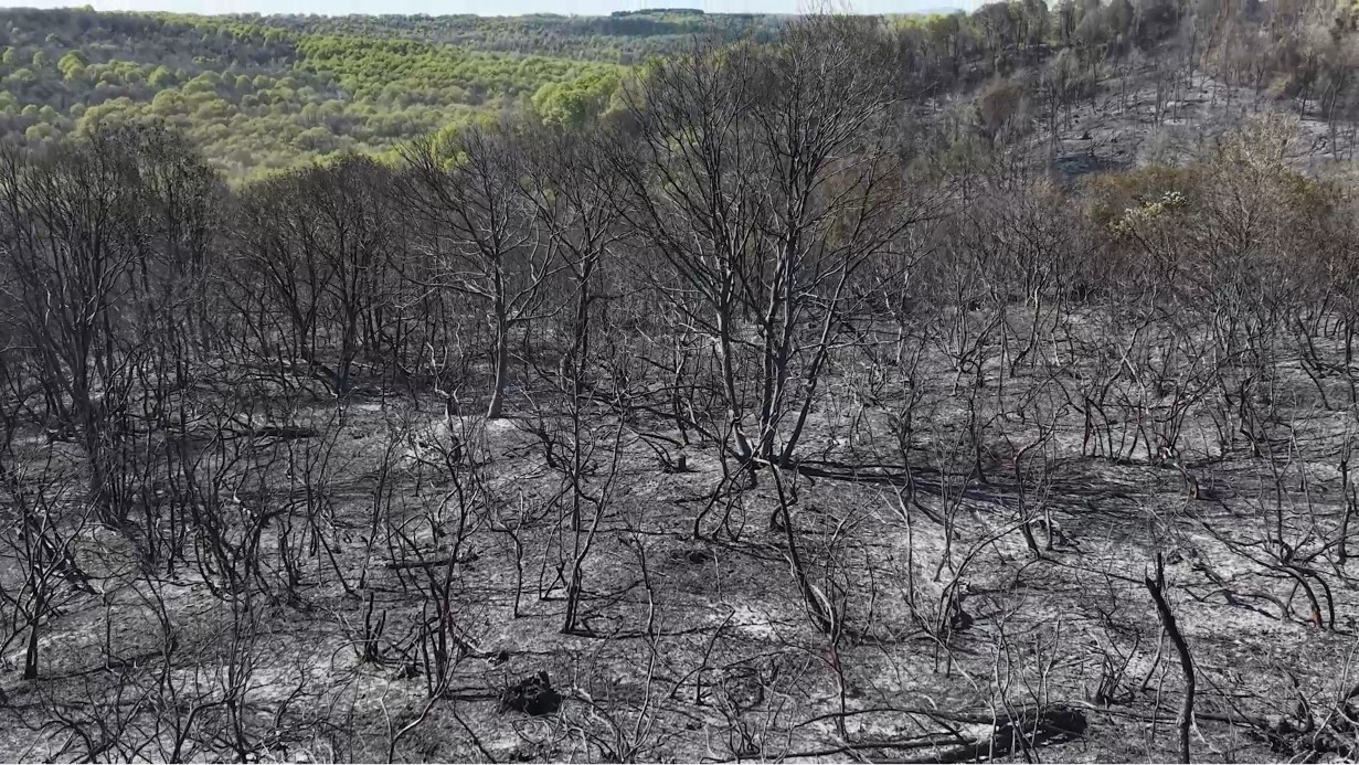 Beykoz’daki yangının bilançosu gün ağarınca ortaya çıktı