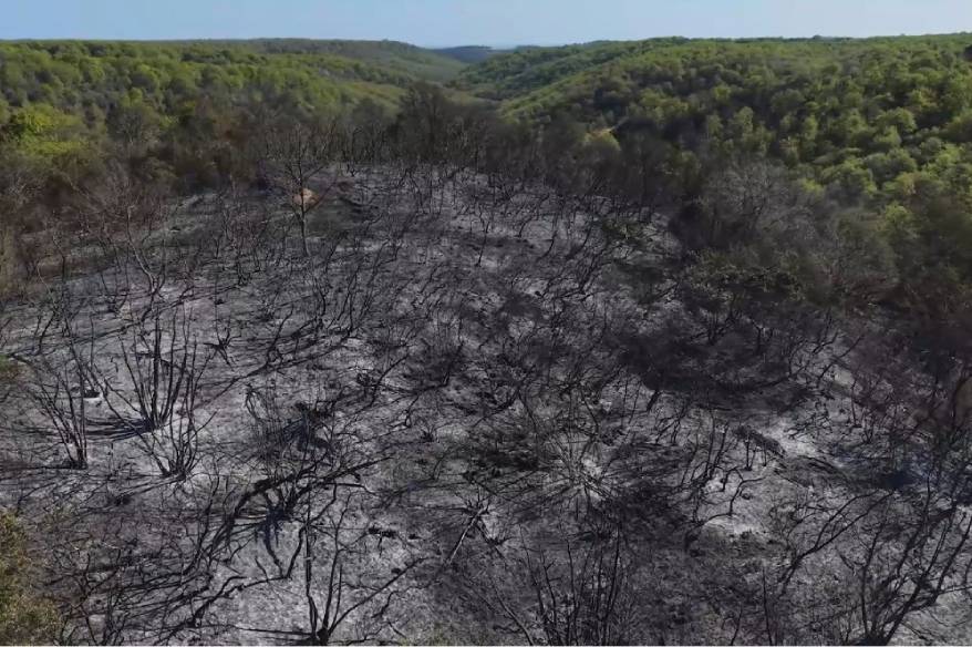Beykoz’daki yangının bilançosu gün ağarınca ortaya çıktı