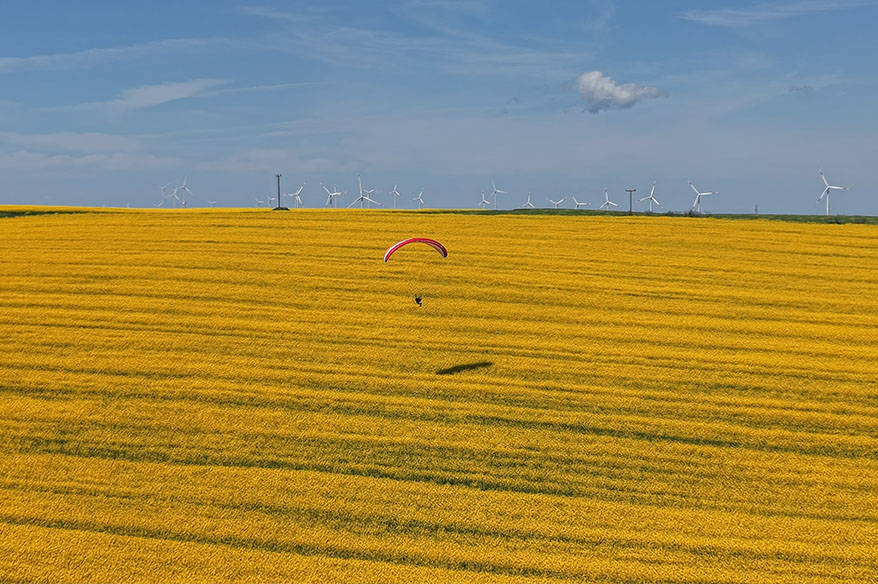 Tekirdağ’da sarı şölen: Paramotorlar sarı tarlaları gezdi
