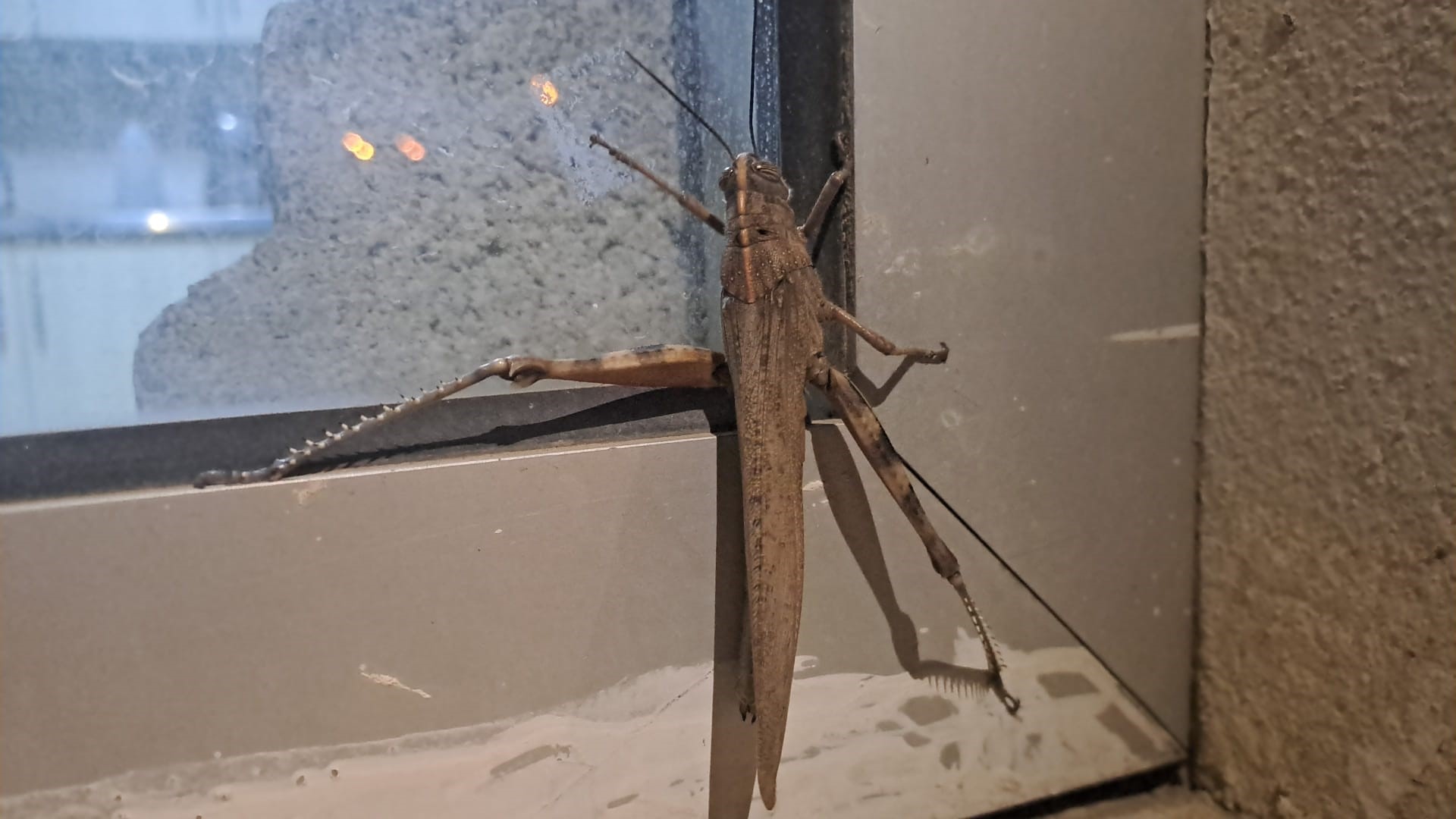 Gören bir daha baktı, boyutu şaşkınlık oluşturdu