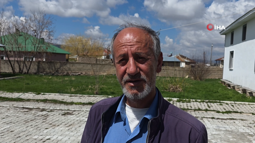 Van’daki köpek dehşetinde kan donduran detaylar