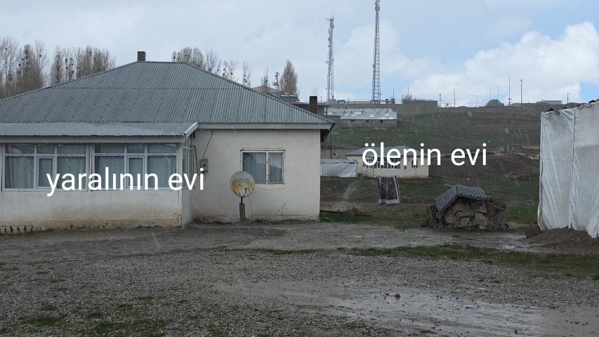 Köpek dehşetinin görüntüleri ortaya çıktı