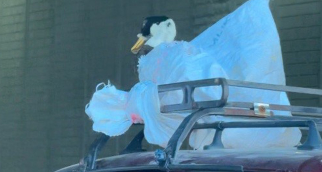 Eskişehir’de bir kazın aracın üzerinde çuvala sarılı haldeki yolculuğu dikkat çekti.