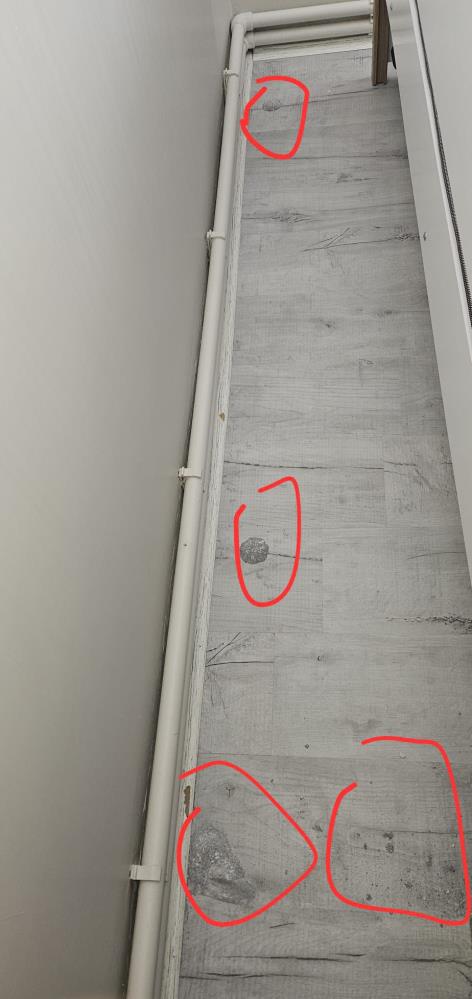 Evini ilaçlatan ailenin 2 yaşındaki kızları ölümden döndü