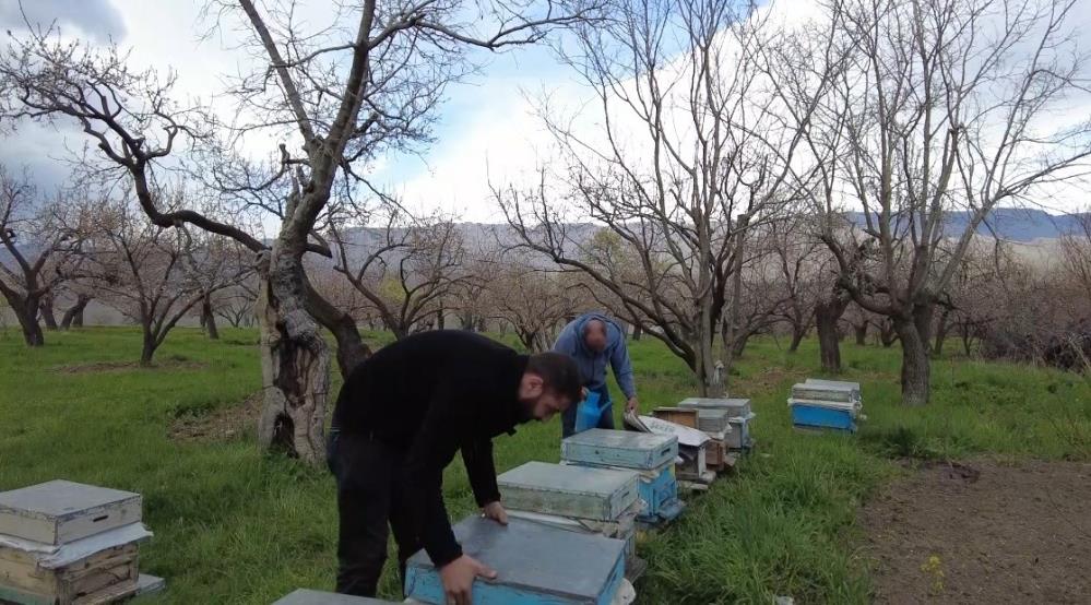 Kars’ta dede mesleği yaşatılıyor: Arıcılık sezonu başladı