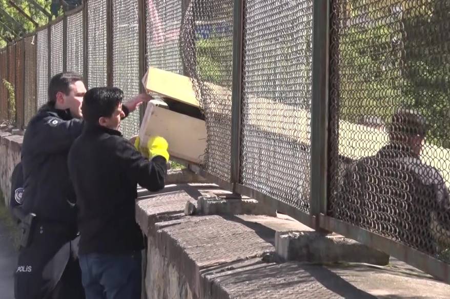 Maltepe’de ormanda erkek cesedi bulundu