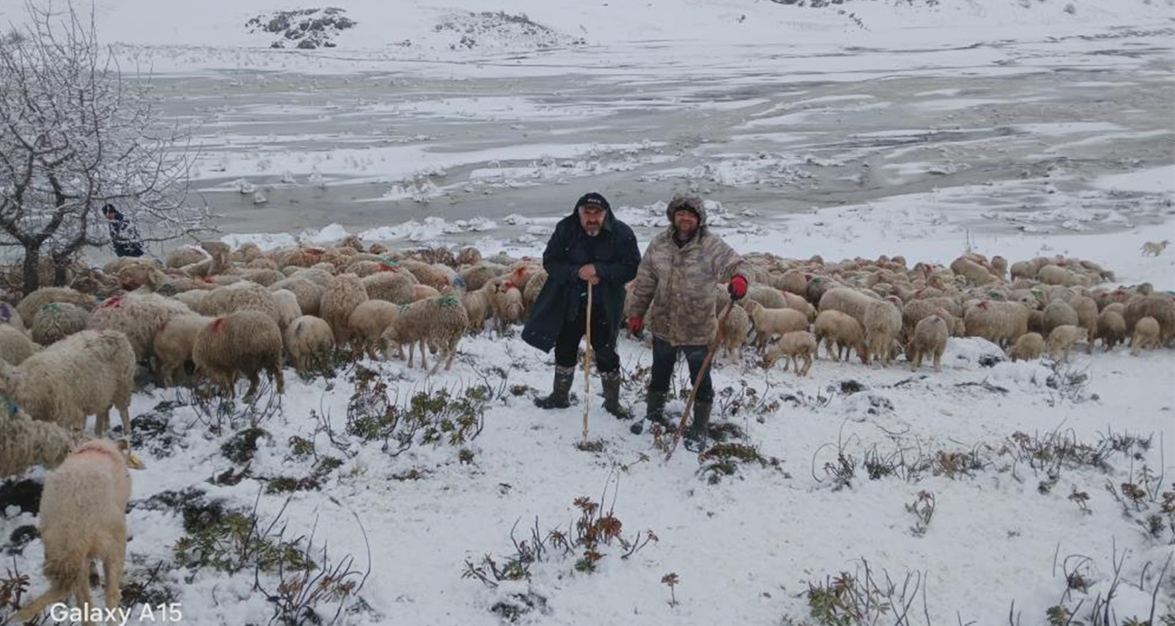 Tipi vurdu heyelan yolu kapattı, 2 çoban ve yaklaşık 650 küçükbaş hayvan yaylada mahsur kaldı