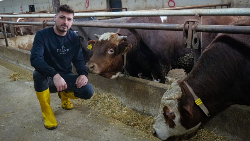 Ankaralı besici kurbanlık hayvanlarına saz çalıp, türkü söylüyor