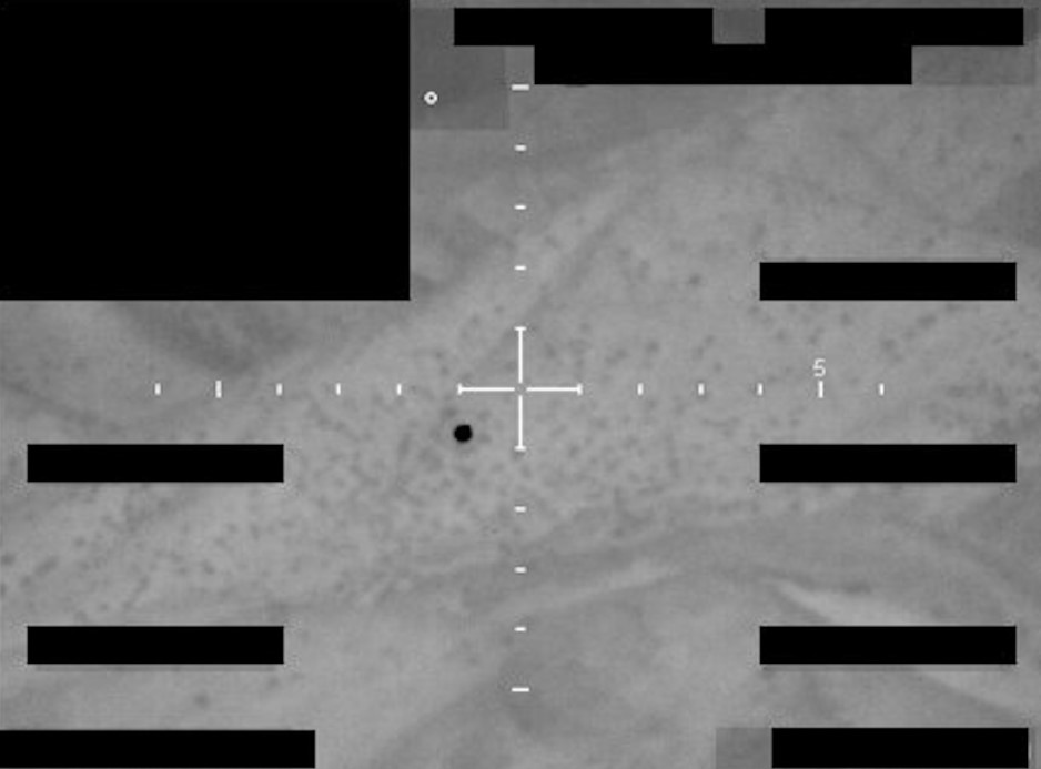 Pentagon, UFO dosyalarını yayınlamaya başladı