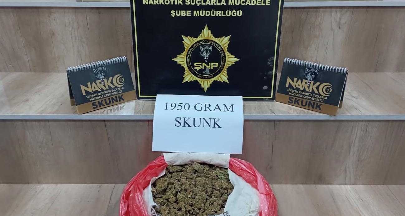 Şanlıurfa merkez ve Siverek ilçesinde polis ekipleri tarafından durdurulan 3 araçta 4 kilo 250 gram skunk maddesi ele geçirildi.