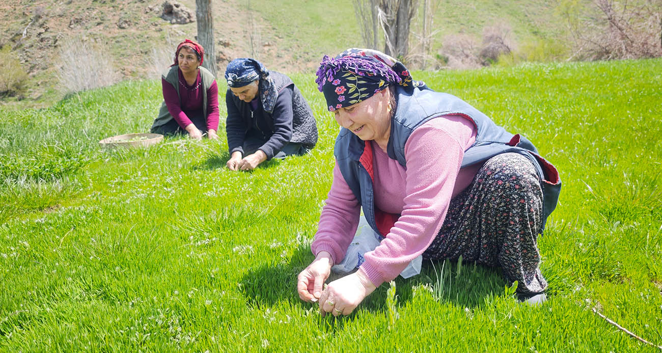 Maltepe'de "kargoyla" uyuşturucu teslimatına baskın: 5 bin 400 gram marihuana ele geçirildi