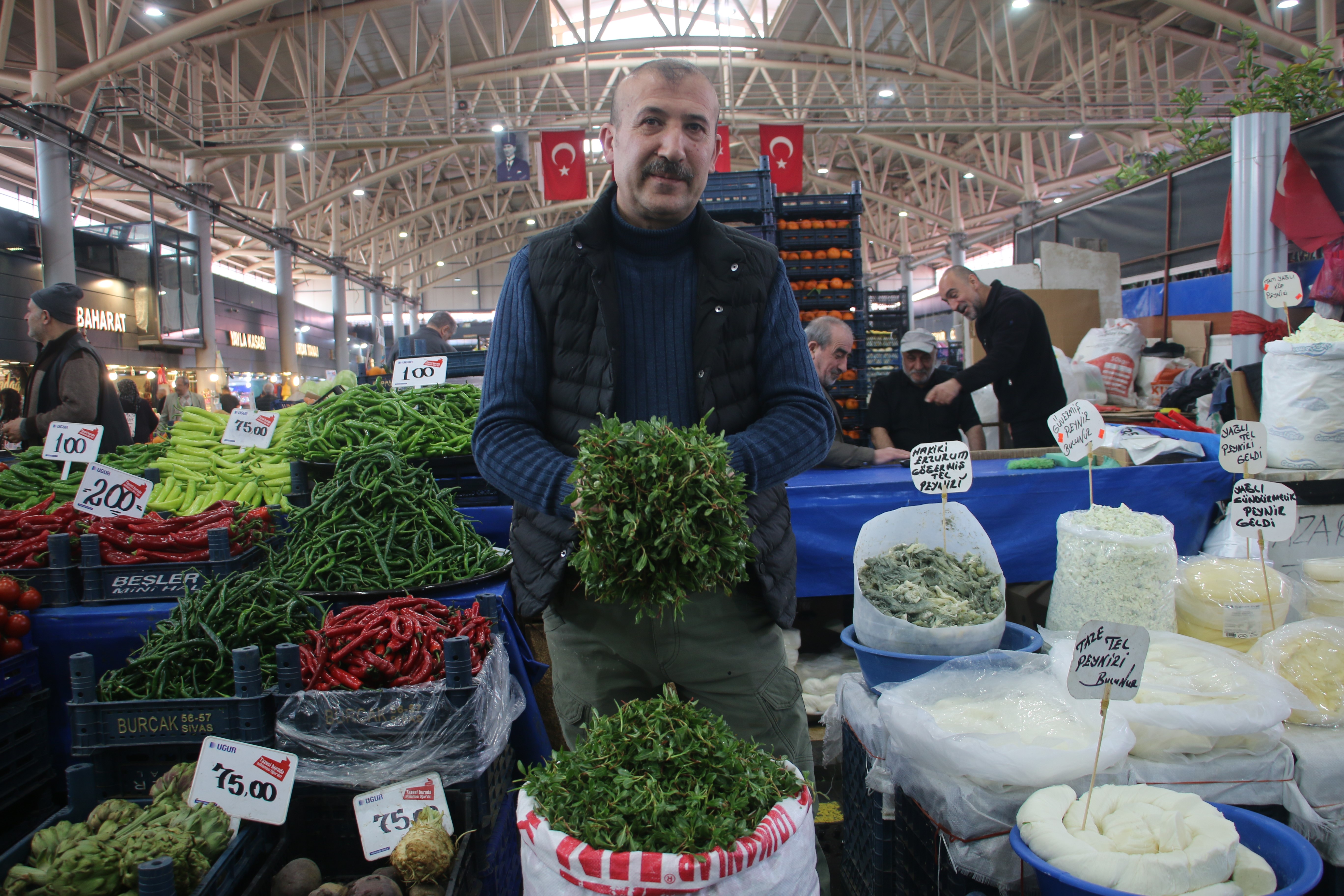 Yabani otların arasından özenle seçilerek, jilet yardımıyla tek tek toplanıyor