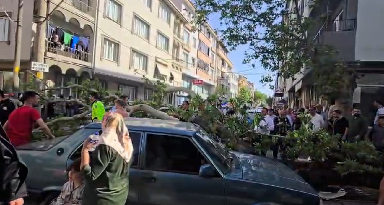Bursa’da seyir halindeki araçların üzerine ağaç devrildi: 1 kişi yaralandı