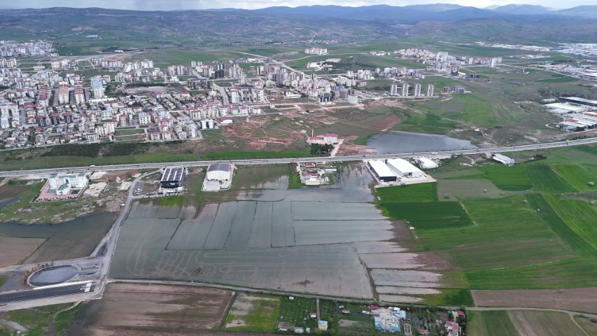 Bali değil Sivas, pirinç değil hububat tarlası
