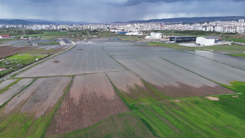 Bali değil Sivas, pirinç değil hububat tarlası