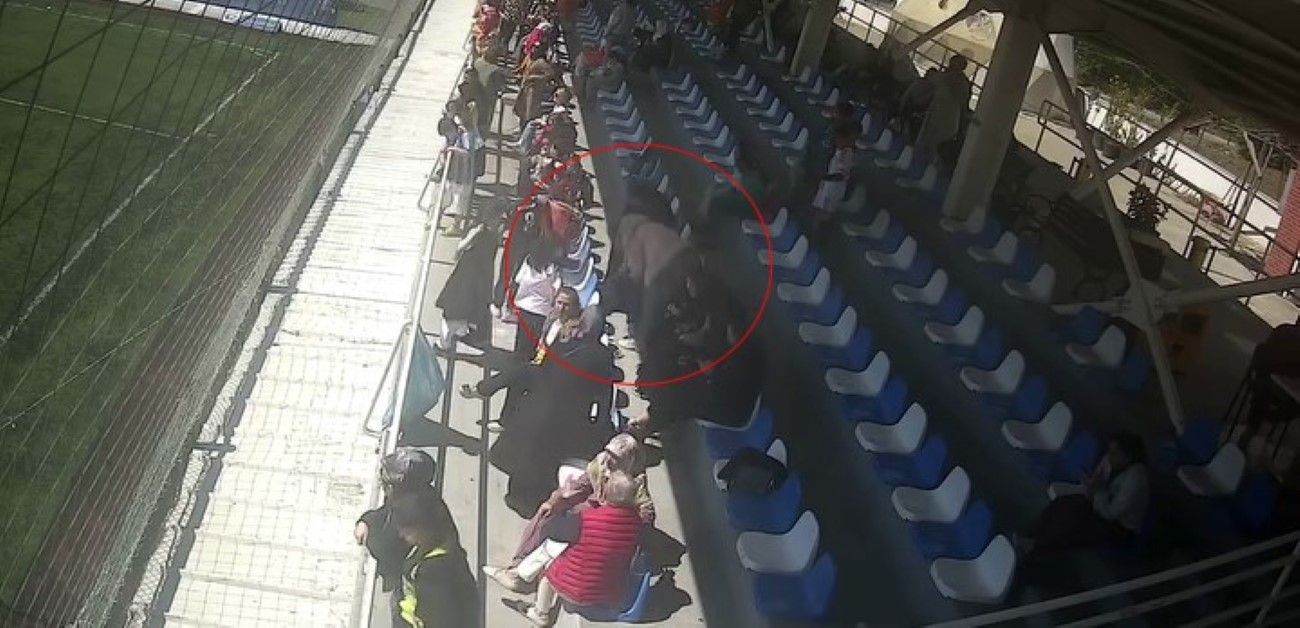 Kurtlar, indikleri köyde köpeği boğdu