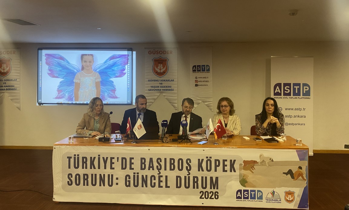 Ankara’da platformlar tarafından ‘Türkiye’de başıboş köpek sorunu’ paneli düzenlendi. Mağdurlar panelde buluştu.