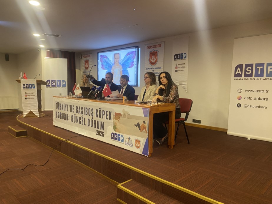 Başıboş köpek mağdurları panelde buluştu