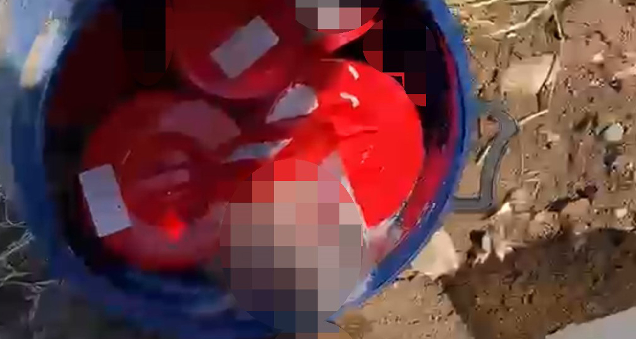 Plastik kutularda 21 cenin bulundu