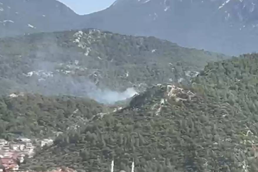Fethiye’de orman yangını