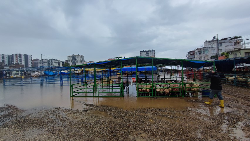 Adana’da kurban pazarını sel vurdu, besici gözyaşlarına boğuldu