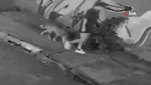 Köpeğini gezdirirken kanalizasyona düştü