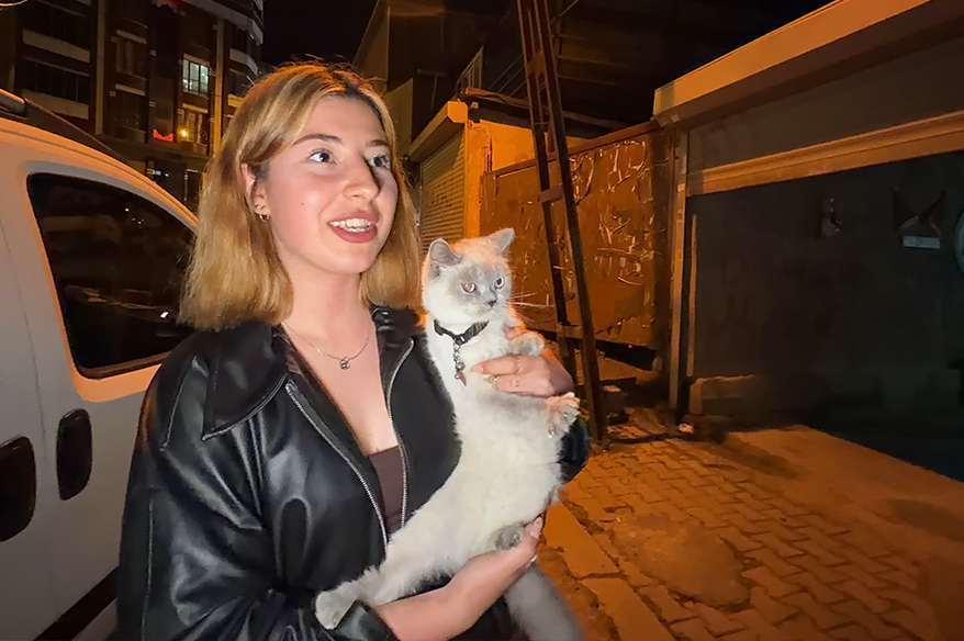 Arnavutköy’de cins kediyi çaldılar