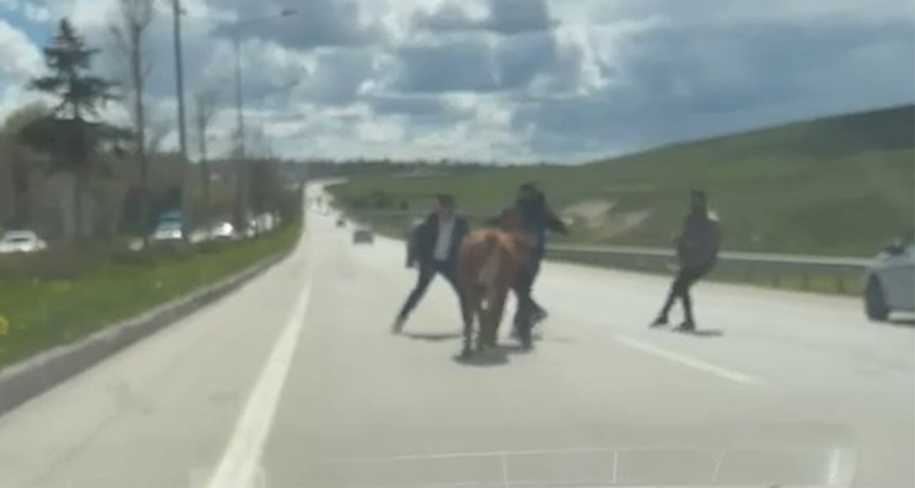 Karasu'da karaya oturan geminin çevresi tehlikeli alan ilan edildi
