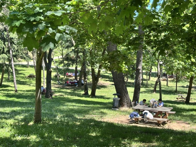 Bayramda İstanbul’da kalanlar sahiller ve parkların tadını çıkardı