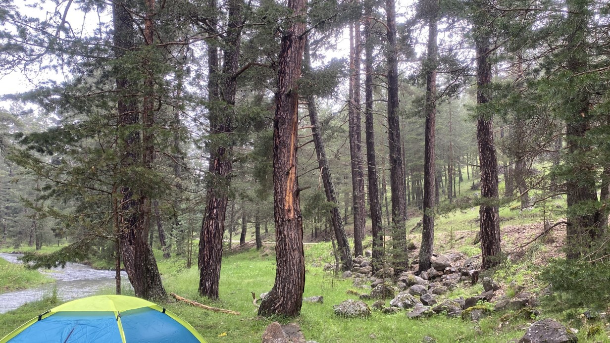Piknik yaptıkları alana yıldırım düştü: 1’i ağır 3 yaralı