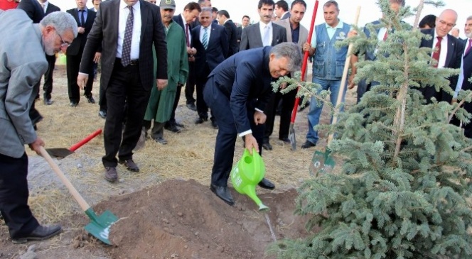 11. Cumhurbaşkanı Abdullah Gül Hatıra Ormanına Ağaç Dikti