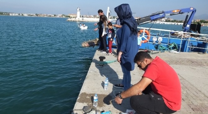 Burhaniye&#039;de Yat Limanı Amatörlerin Mekanı Oldu