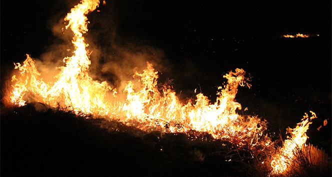 Elazığ’da fabrika arkasındaki anız yangını korkuttu