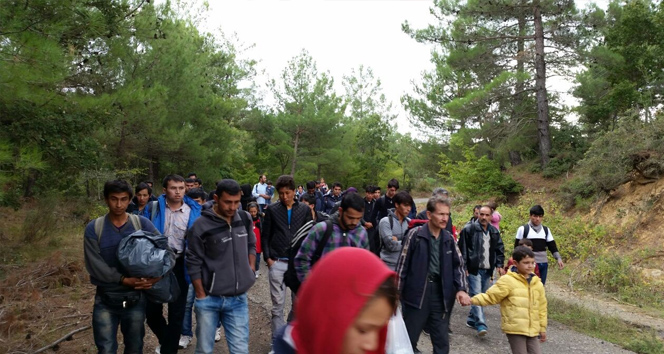 Kastamonu’da 155 kaçak göçmen yakalandı
