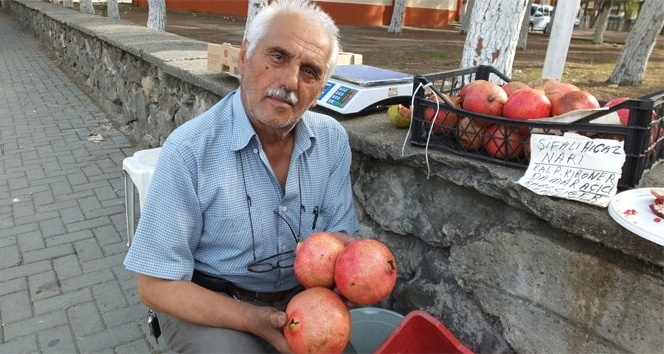 Hicaz narı şifa kaynağı