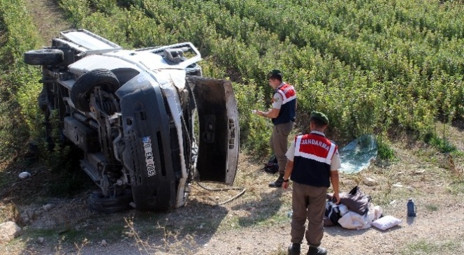 Kontrolden Çıkan Kamyonet Takla Attı: 5 Yaralı