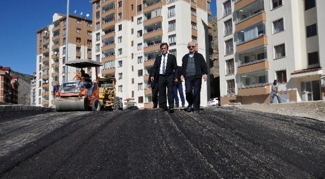Müze Evleri'nde Asfalt Sevinci