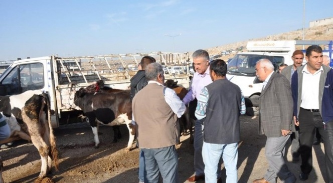 HDP Gaziantep Milletvekili Adayı Osman Demirci: