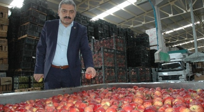 Karaman'da Elma Standartları Çalıştayı Yapılacak