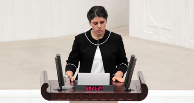 Dilek Öcalan Meclis'e girdi mi?