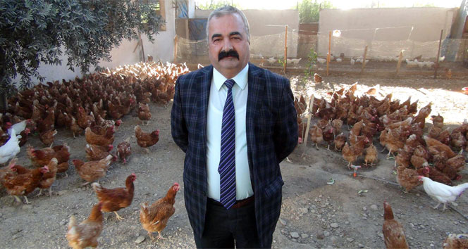 Silifkeli tavukçudan Muharrem İnce'ye ortaklık teklifi