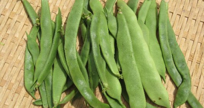 Taze fasülye yaşlanmayı geciktiriyor !