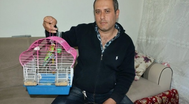 (Özel Haber) Cumhurbaşkanı Erdoğan Hayranı Kuş