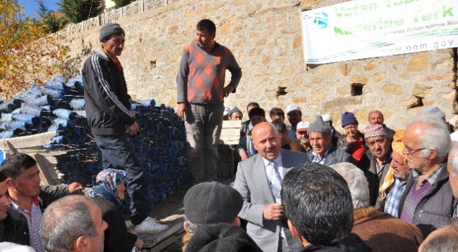Sarıveliler'de Kavak Ve Söğüt Ağaçlarının Kesimine Başlandı