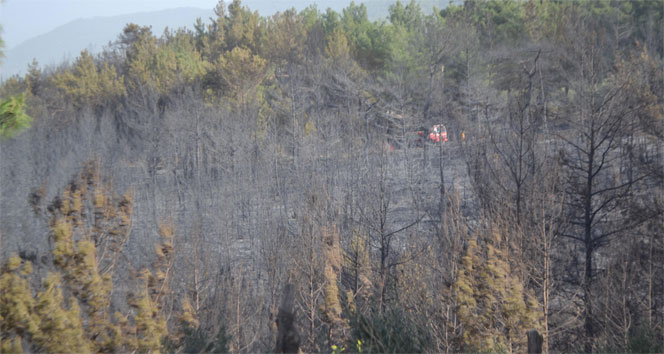 Kdz. Ereğli’de orman yangını 3 saatte söndürüldü