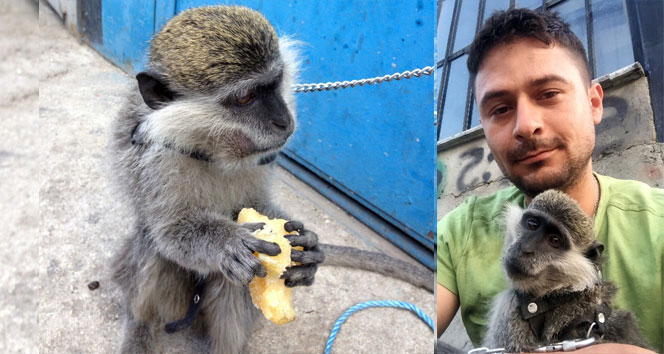 Şımarık’ın sahibinin yargılandığı dava sonuçlandı