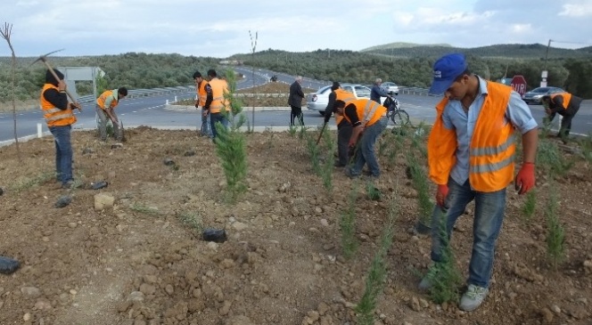 Çanakkale İzmir Karayolu Yeşillendiriliyor