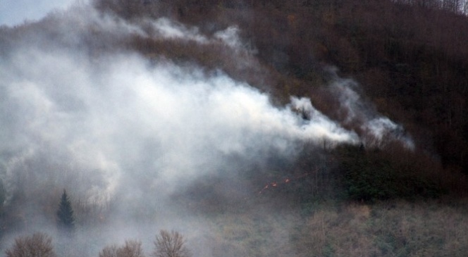 Trabzon&#039;da Orman Yangını Söndürülemiyor